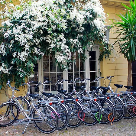 Greif, A Member Of Design