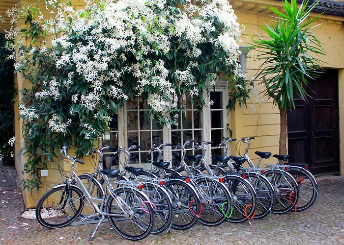 Greif, A Member Of Design