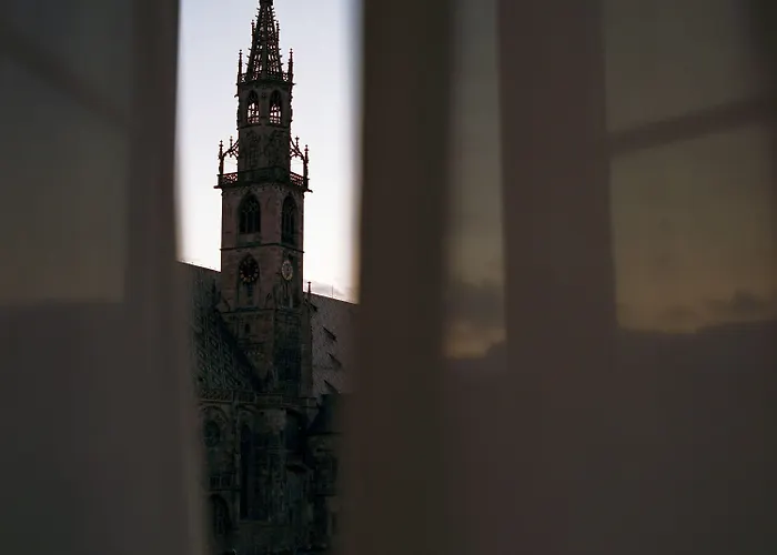 Greif, A Member Of Design